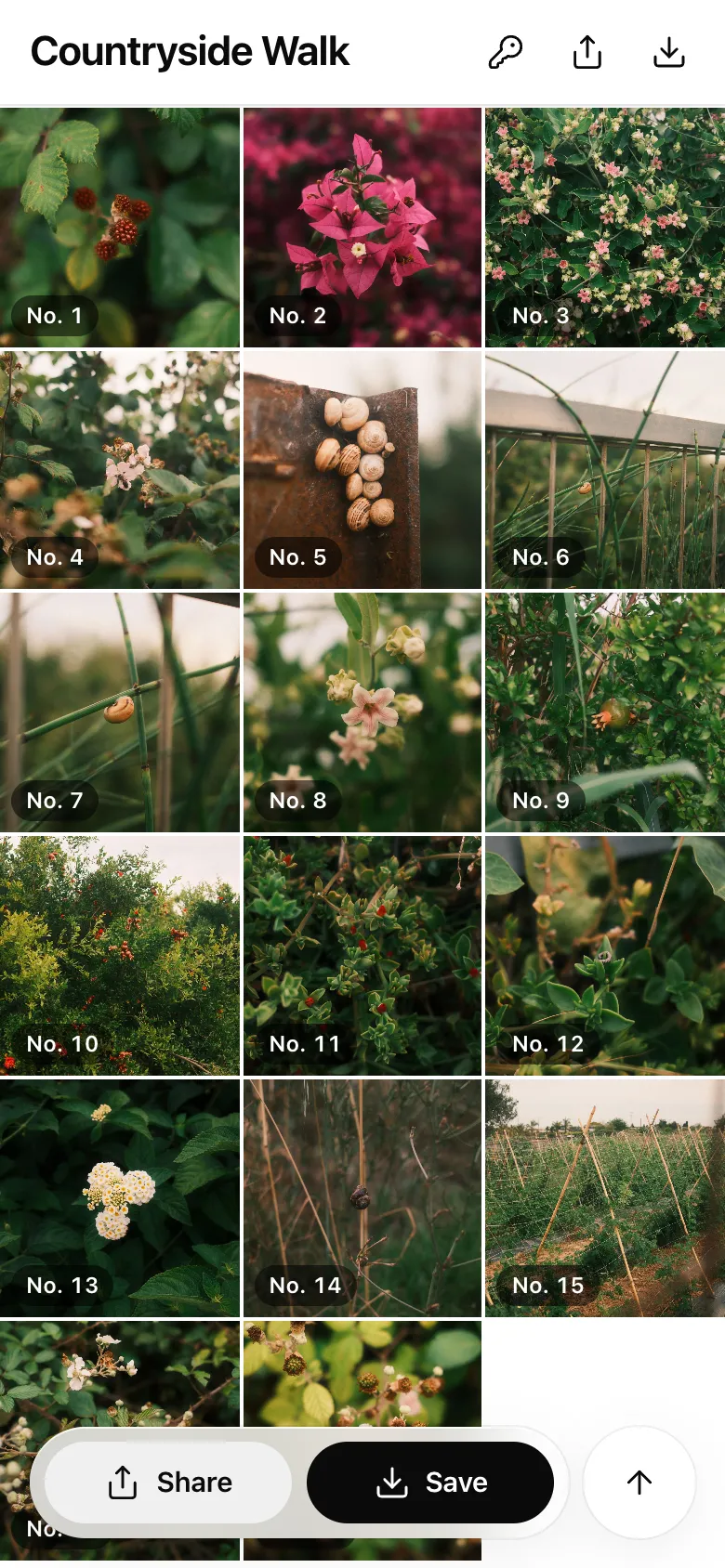 The same gallery on a phone, with Share and Save at the bottom