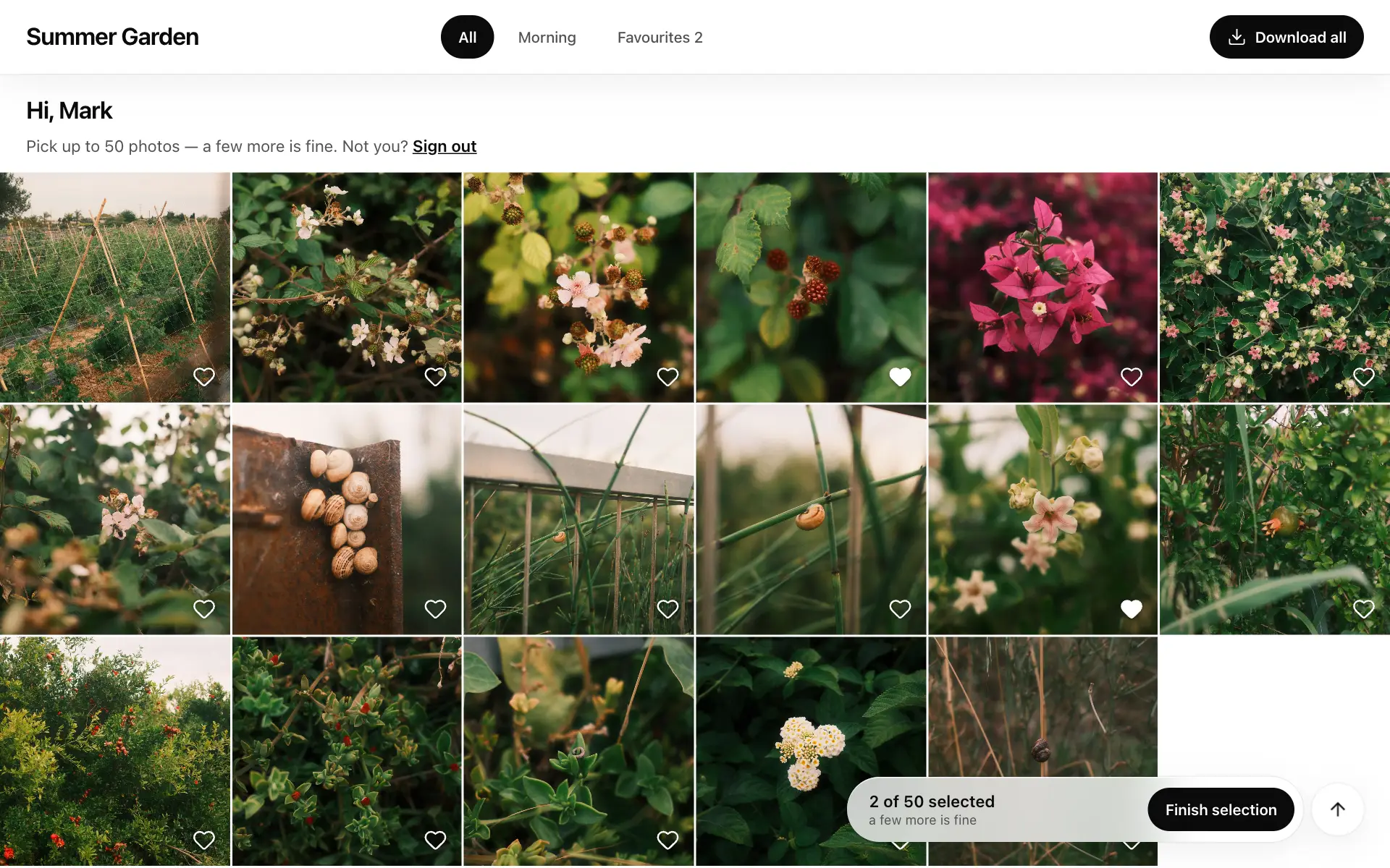 Selecting on a computer: hearts on the photos, the counter and Finish selection at the bottom